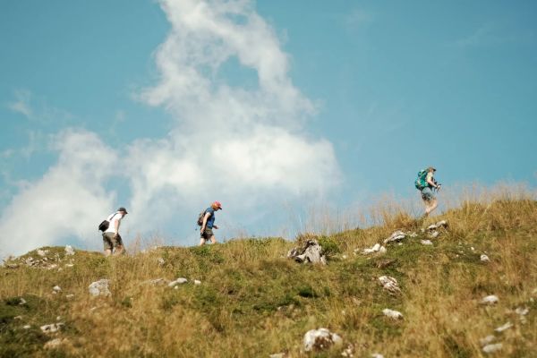 Que faire dans les cévennes lors de votre séjour au camping des sources ?